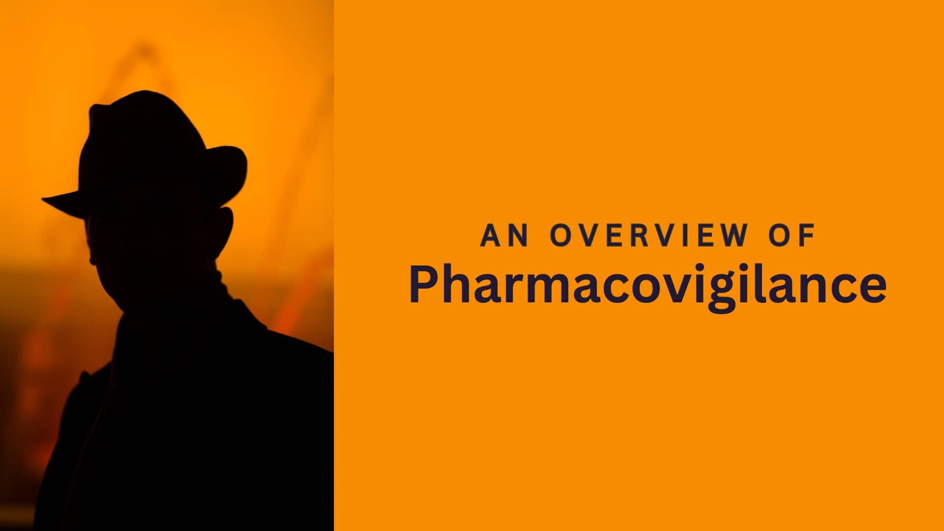 An Overview of Pharmacovigilance